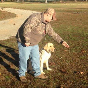 obedience training 